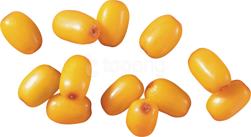 Free Png Download Sea Buckthorn Png Images Background - Sea Buckthorn Png (850x464), Png Download