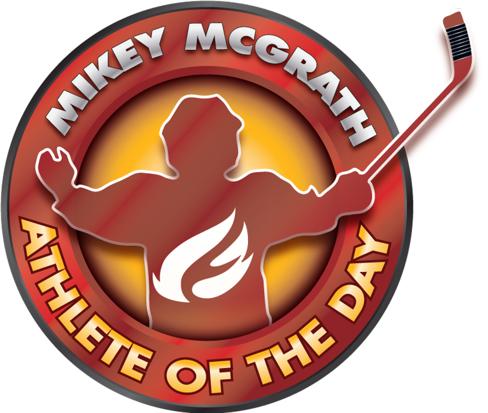 Quick Links - Emblem (1024x846), Png Download