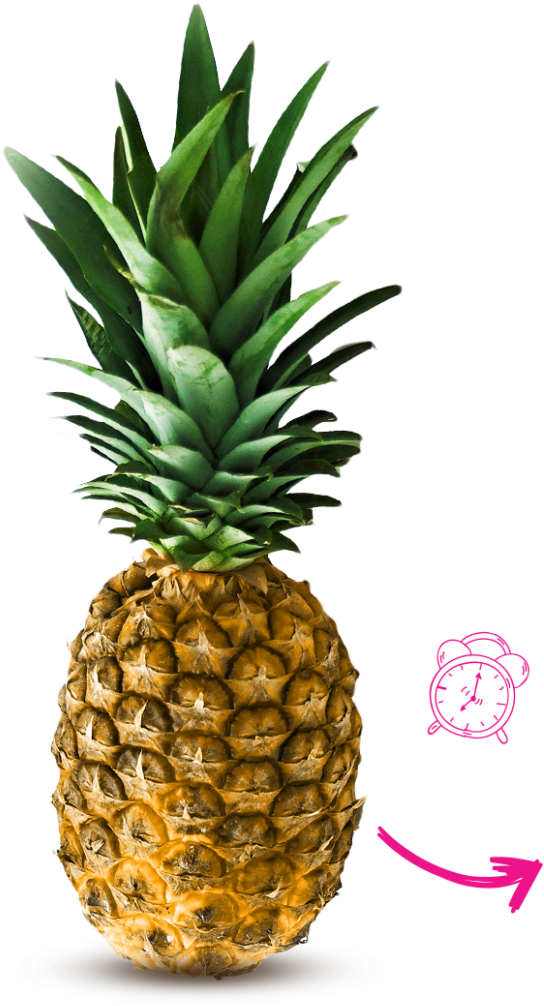 Pineapple Will Get Softer, But Not Sweeter - Biro Pen Fruit Drawings (581x1024), Png Download