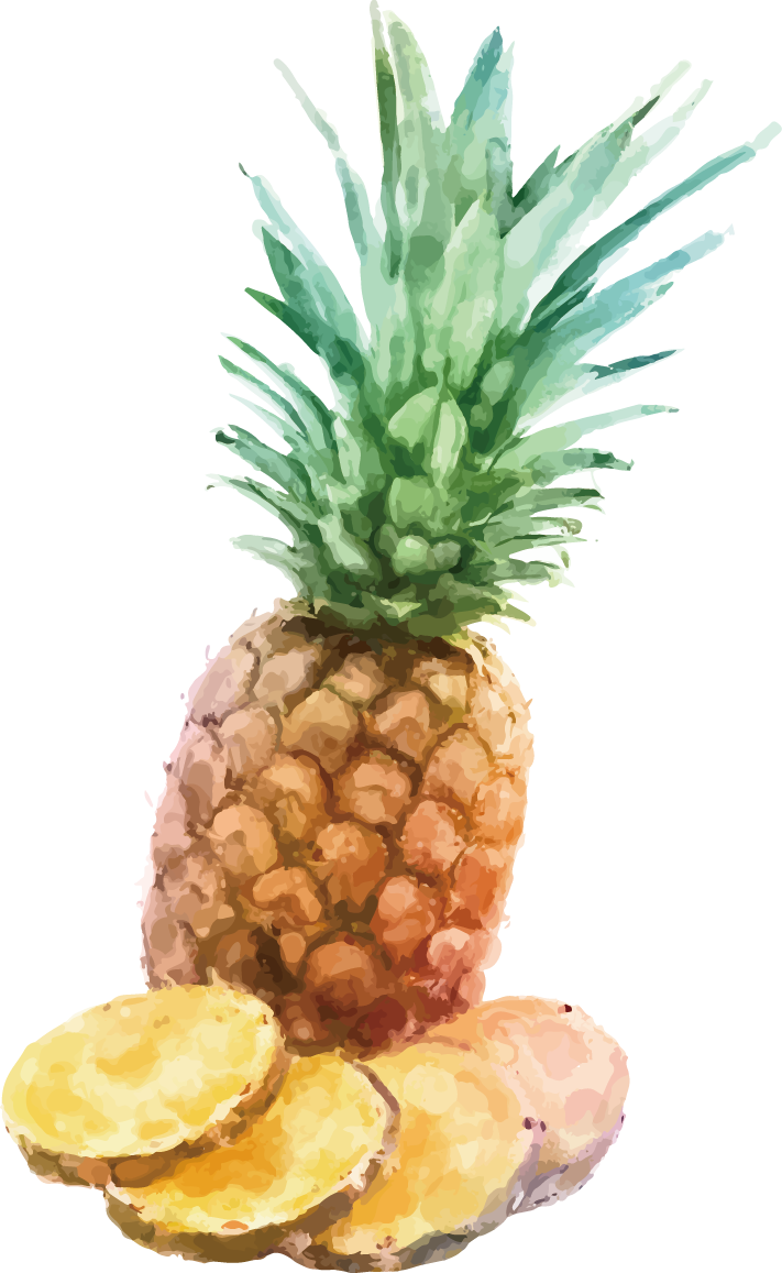 Fresh Pineapple Slices - Watercolor Painting (711x1157), Png Download