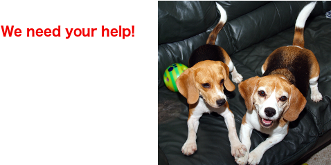 We Need Your Help - Beagle (640x400), Png Download