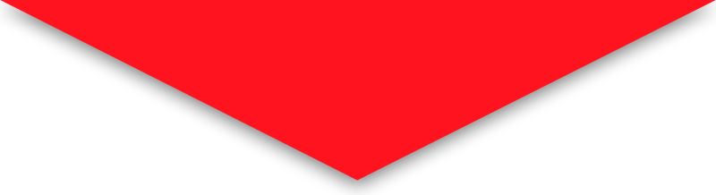 Diver Diving & Snorkeling Center Misterdiver - Red Triangle Svg (800x218), Png Download