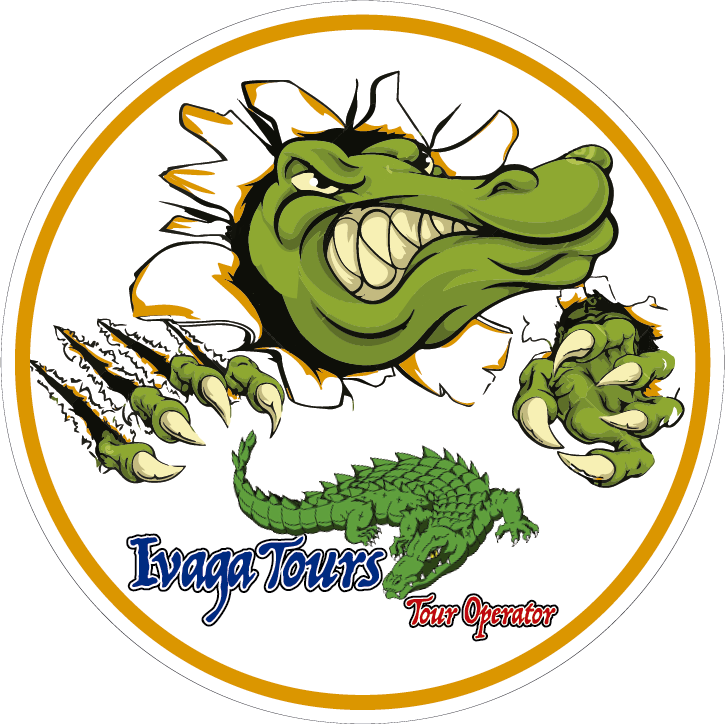 Circulo-blanco - Mr Alligator Crocodile Workbook Of Affirmations Mr (725x724), Png Download