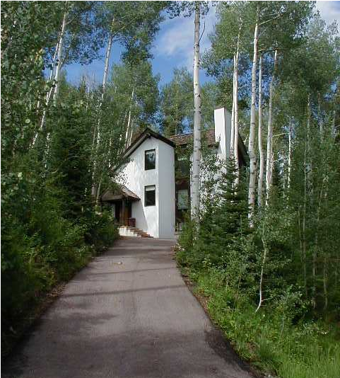 Ski/summer House Among The Aspen Trees - Tree (800x533), Png Download