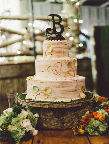 Aspen Tree Cake - Свадебные Торты В Стиле Рустик (480x480), Png Download