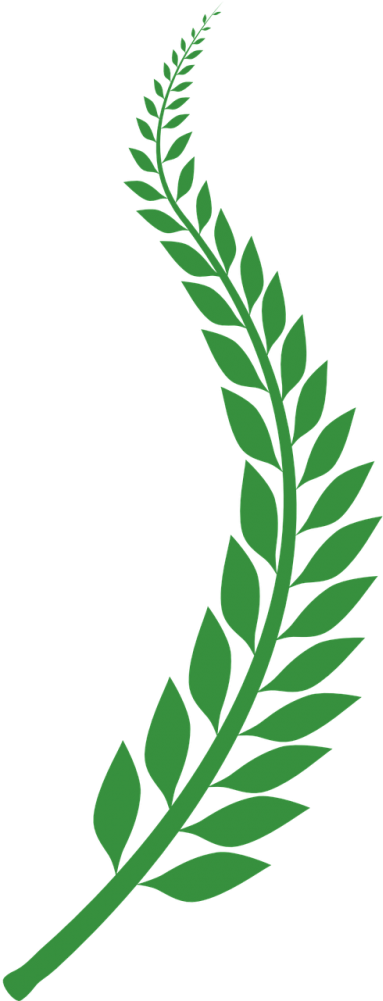 Laurel Vector Png Graphic Royalty Free Stock - Laurel Png Clipart (500x1000), Png Download