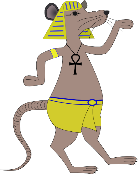 How To Set Use Egyptian Rat Svg Vector (474x596), Png Download