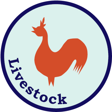 Livestock (417x417), Png Download