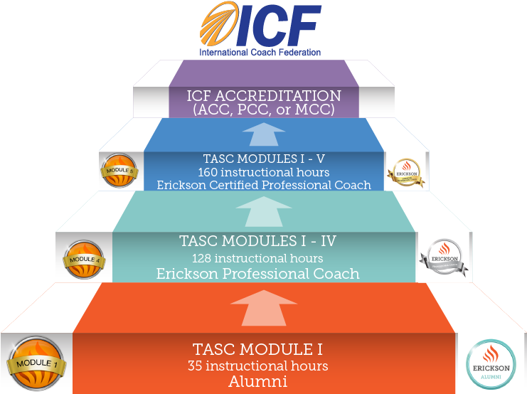 Become Icf Certified - International Coach Federation (791x577), Png Download
