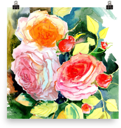 Bright And Floral Rose Watercolour Print Matte Poster - Watercolor Painting (600x600), Png Download