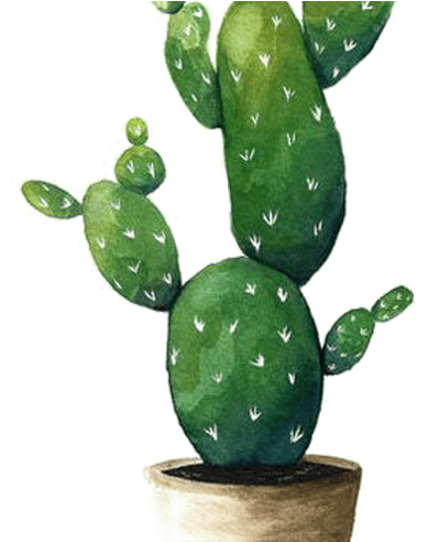 Cactaceae Watercolor Painting Succulent Plant Drawing - Aquarell Kaktus (800x491), Png Download