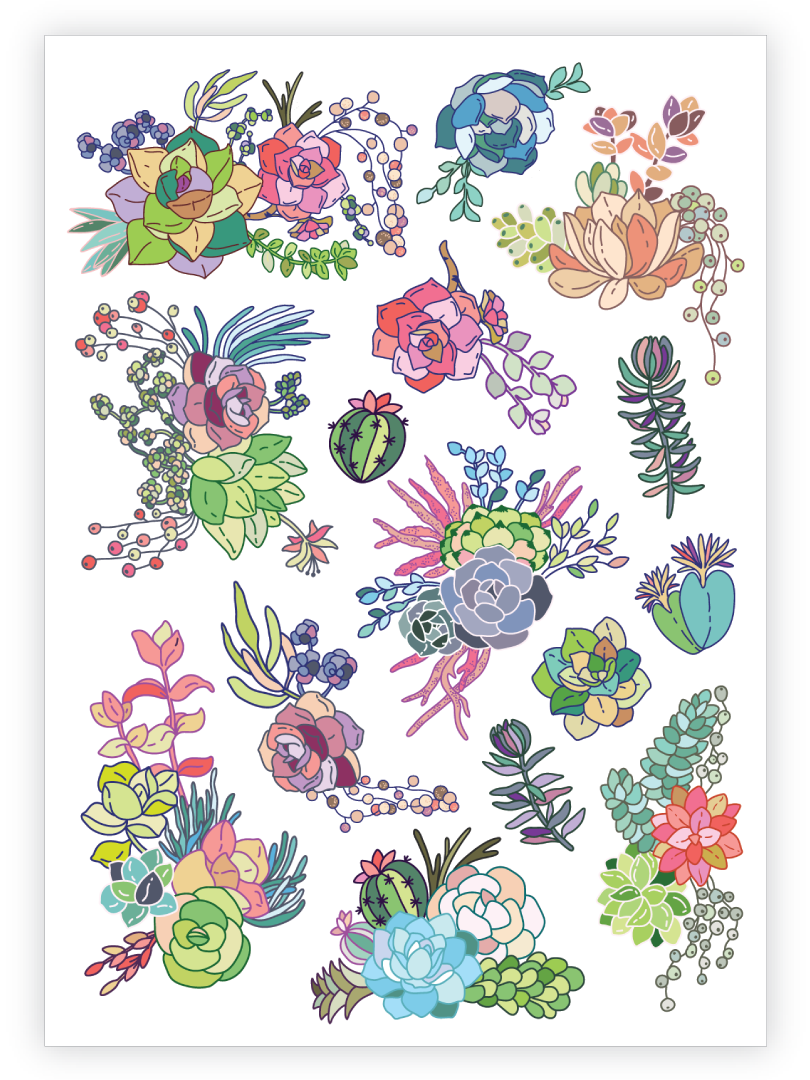 Succulents - Succulent Plant (810x1080), Png Download