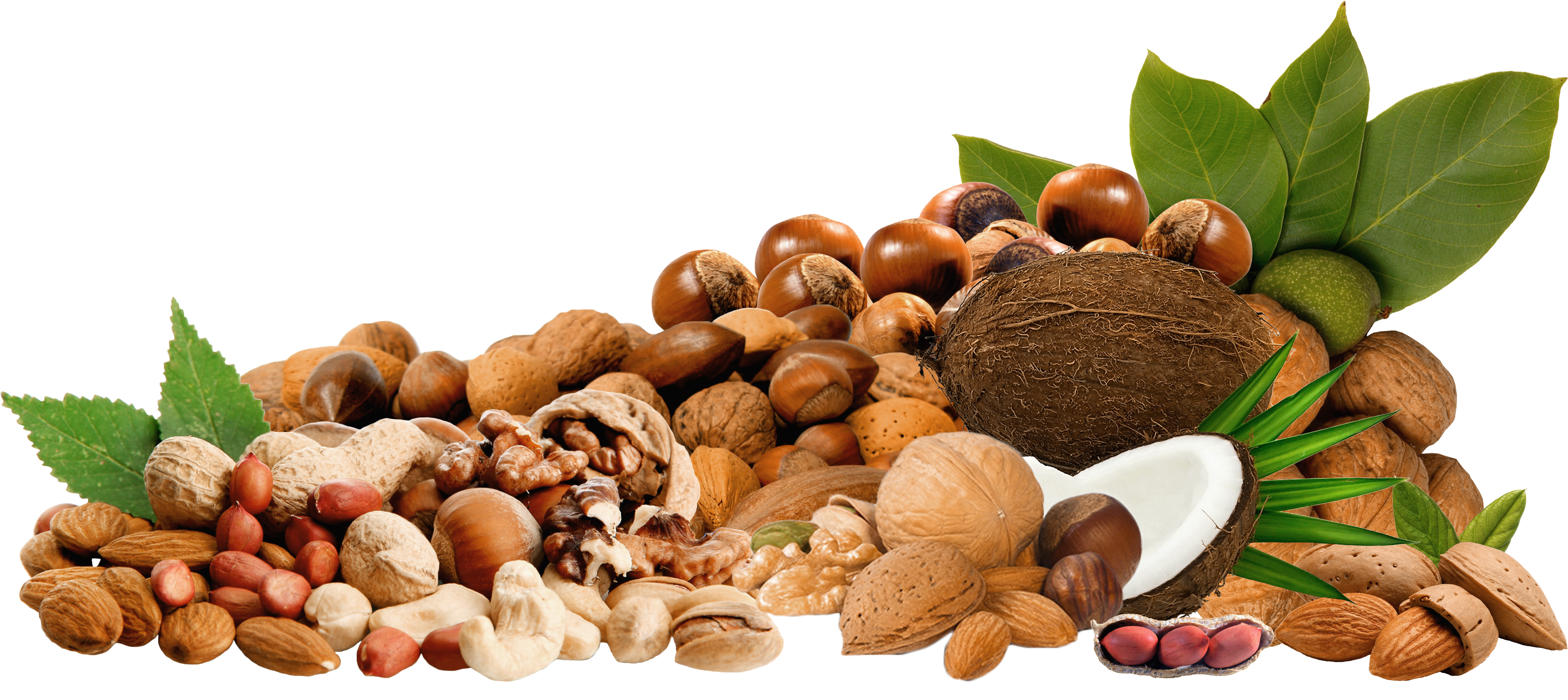 Png Clipar Picture Gallery - 4 Steps To Lower Cholesterol (4508x2103), Png Download