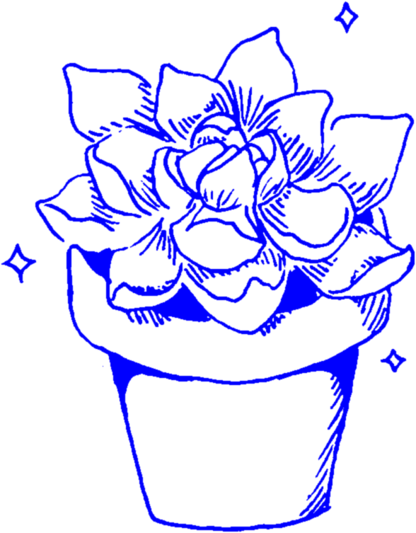 Aesthetic Succulent Succulents Cactus Cacti Plant Plant - Transparent Png Aesthetic White Blue (588x753), Png Download