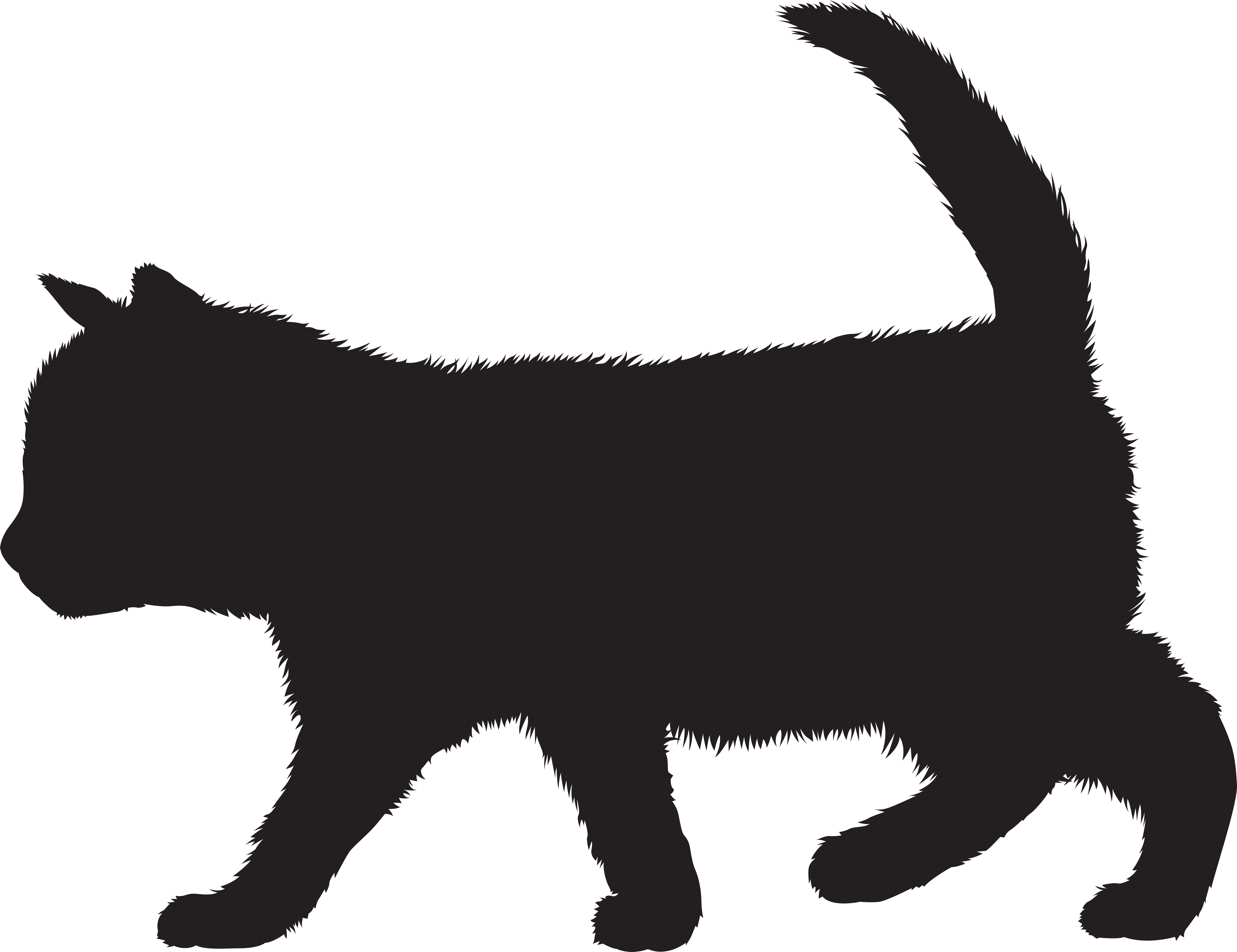 Kittens Png (8000x6190), Png Download