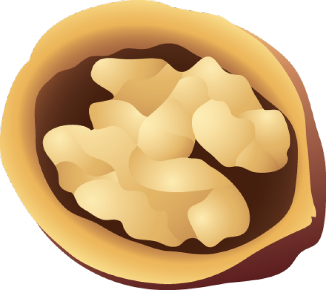 Hamster Eating Walnuts Stock Vector - Walnut Clipart Png (400x356), Png Download