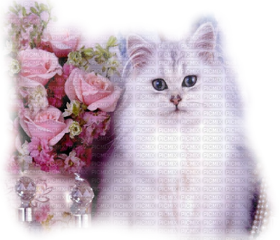 "gato Blanco"cat Marta - White Cat Pendant, Round Art Photo With Chain Necklace, (400x343), Png Download