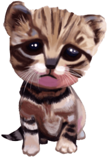 Free Png Cute Kittens Png Png Images Transparent - Cat (480x480), Png Download