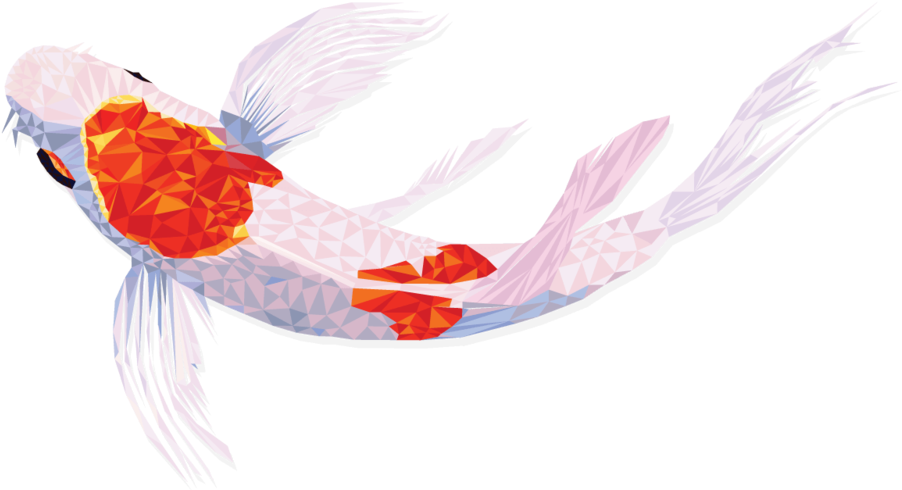 Koi - Portable Network Graphics (1000x625), Png Download