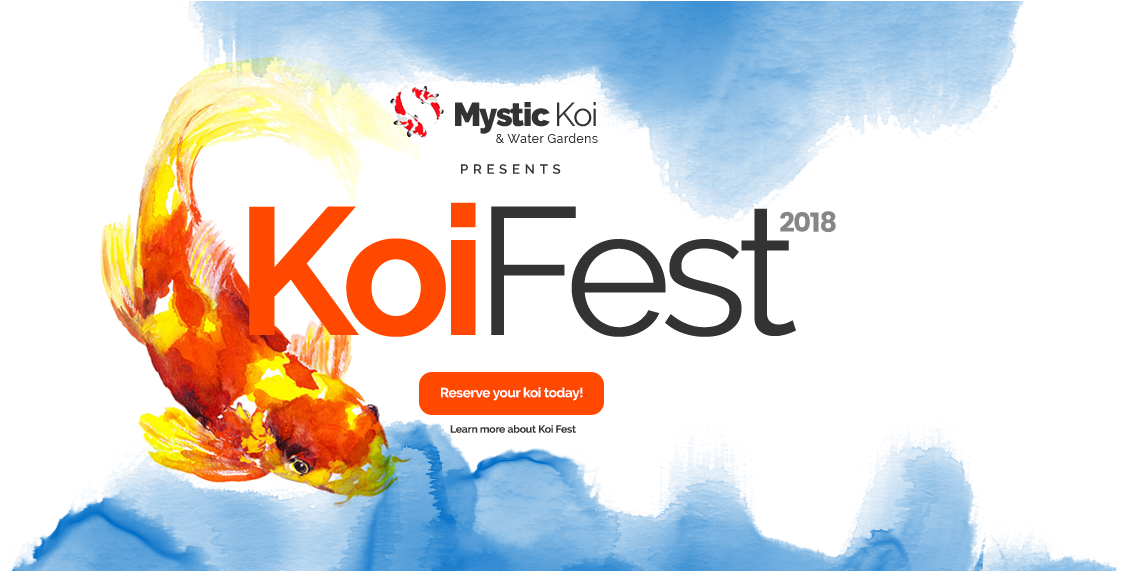 Mystic Koi 2018 Koi Grow Out Selection And Koi Festival - Sculptra Aesthetic (1230x570), Png Download