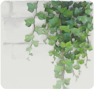 Watercolor Vines, Climbing Plant Women's Clutch Wallet - Wall Backpack By Ivaw (500x500), Png Download