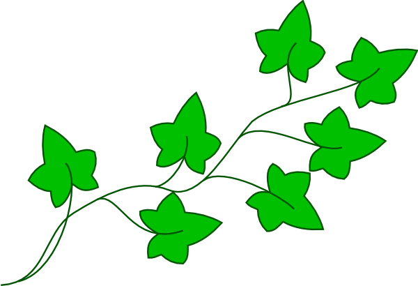 Ivy Vine Clip Art At Clker - Ivy Clipart (600x410), Png Download