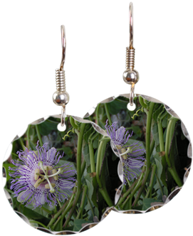 Passion Flower Vine Earring - Passion Flower Vine Mug (350x350), Png Download