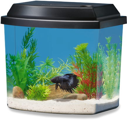 1 Gallon - National Geographic 1 Gallon Fish Tank (700x430), Png Download