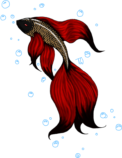 Download Betta Fish Design Koi Full Size PNG Image PNGkit