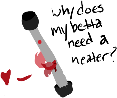 Why Do Bettas Need A Heater - Fish Heater For Betta Fish (500x500), Png Download