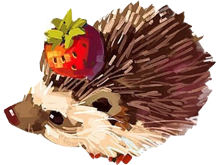 Hedgehog Paper Drawing Watercolor Painting Illustration - Hedgehog In A Teacup Tattoos (502x502), Png Download