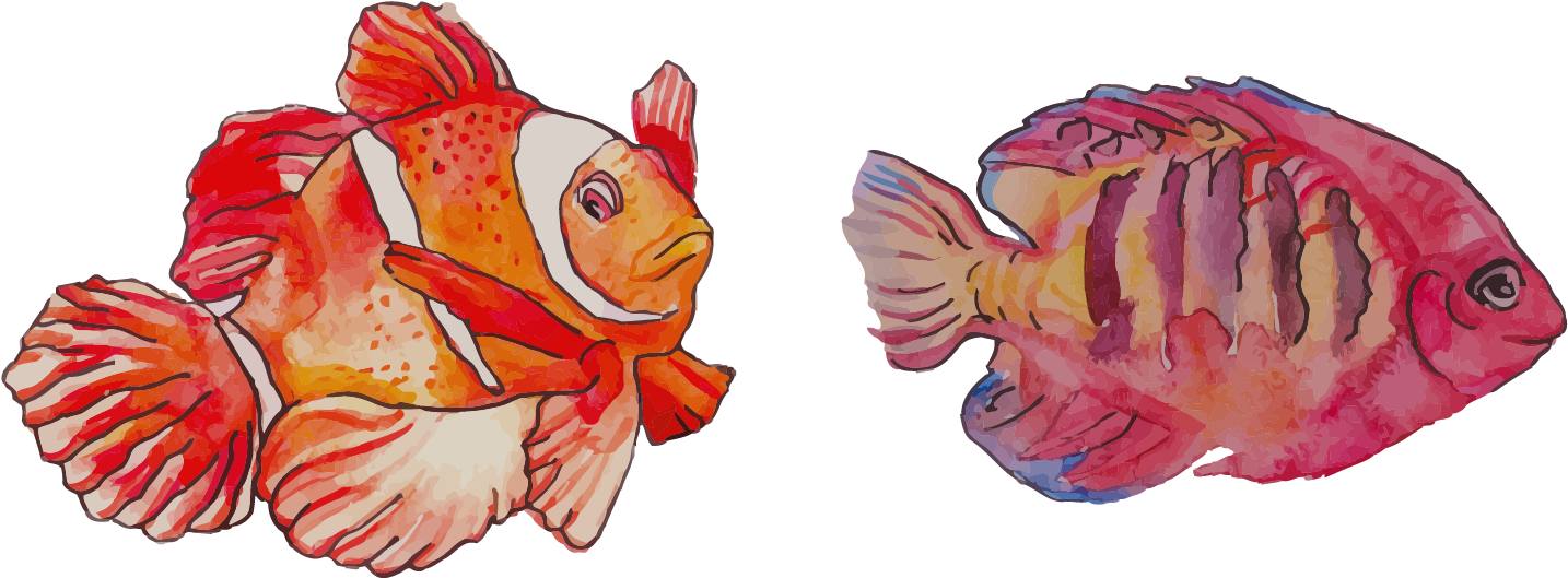 Watercolor Painting Clownfish - Fish Clip Art Watercolor (1502x757), Png Download