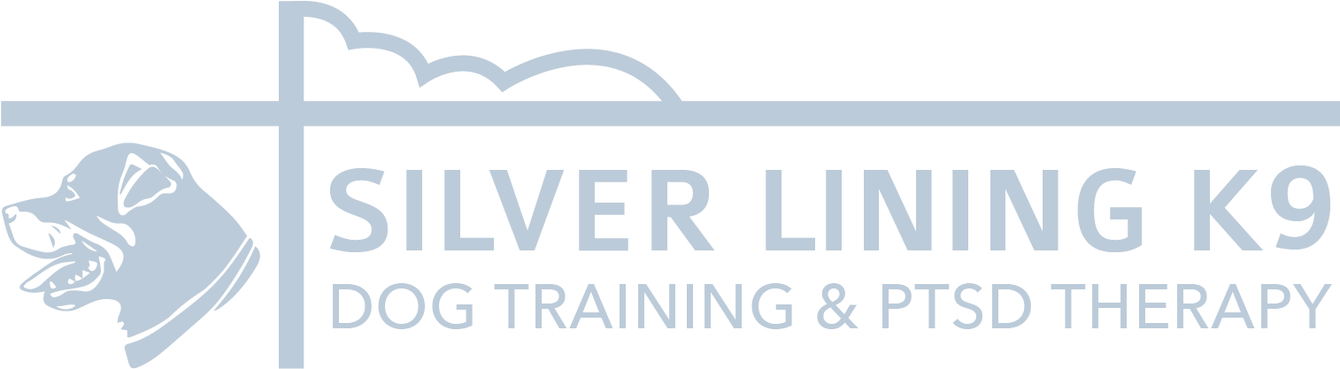 Training (1650x521), Png Download