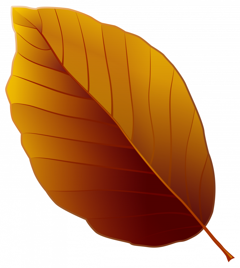 Brown Leaf Clip Art Png (817x912), Png Download
