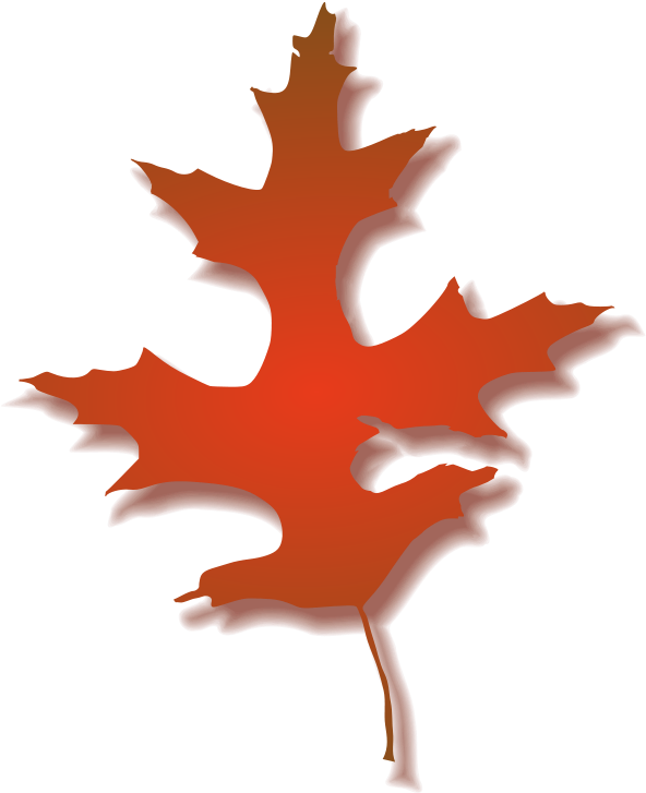 Oak Leaf Photo - Fall Oak Leaf Clipart (706x800), Png Download