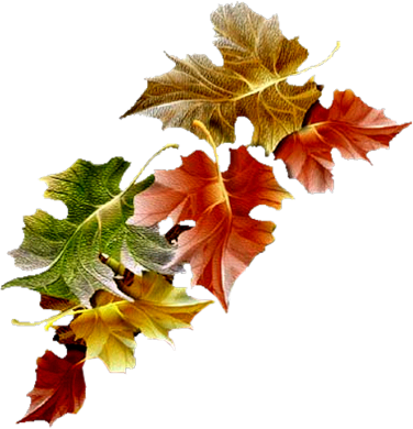 Herfst - Feuille D Automne Clipart (376x390), Png Download