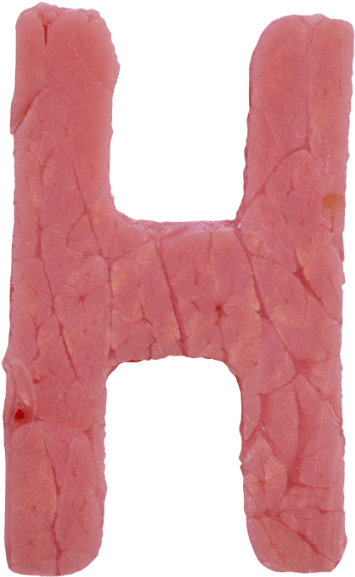 Ham Font - Airedale Terrier (595x595), Png Download