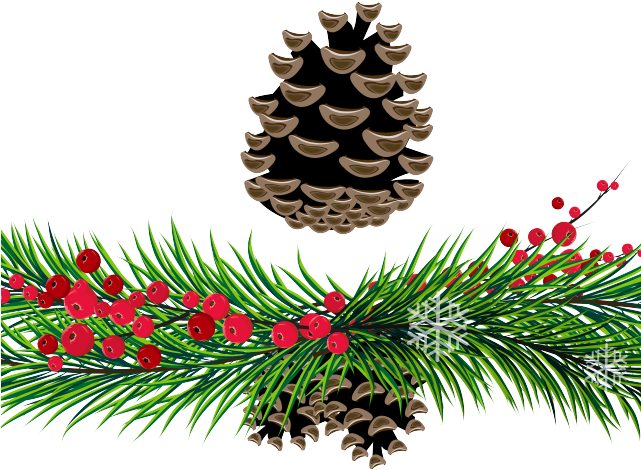 Pine Cone Free On Dumielauxepices Net - Clip Art (640x480), Png Download