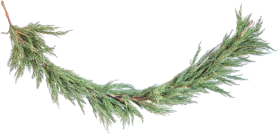 Faux Cedar Garland 1 - Portable Network Graphics (1000x1000), Png Download
