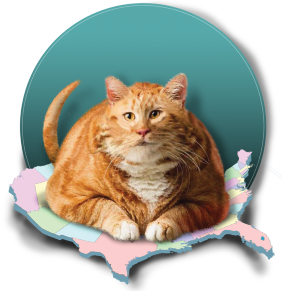 Porky Pet Pandemic - Albuquerque (575x600), Png Download