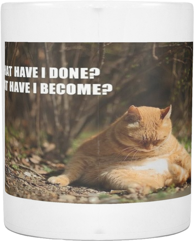 Fat Cat Regrets Meme 11 Ounce Coffee Mug - Meditation (1024x1024), Png Download