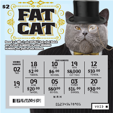 *experience The Fun And Excitement Of Playing A Scratch - Black Cat (640x390), Png Download