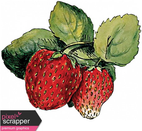 Strawberry Sketch 2 Strawberry Png, Strawberry Fields, - Strawberry Drawing (456x456), Png Download