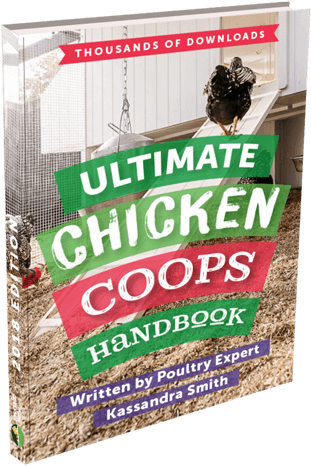 Download Ebook - Book Cover (350x490), Png Download