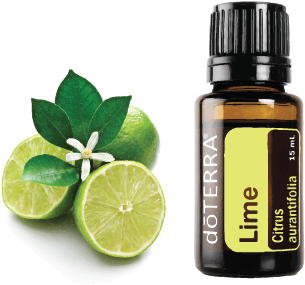 Doterra Essential Oils - Lime 15ml (504x520), Png Download