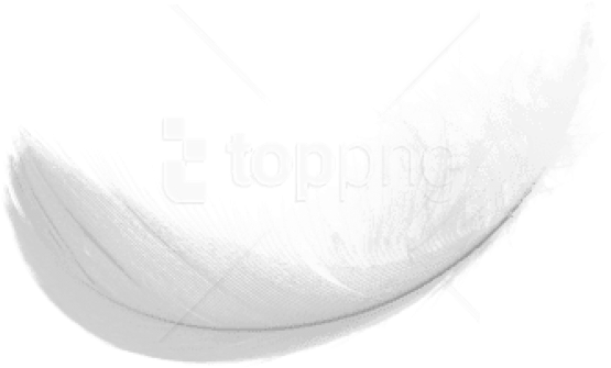 Free Png Simple White Feaher Png Png Images Transparent - Darkness (850x638), Png Download