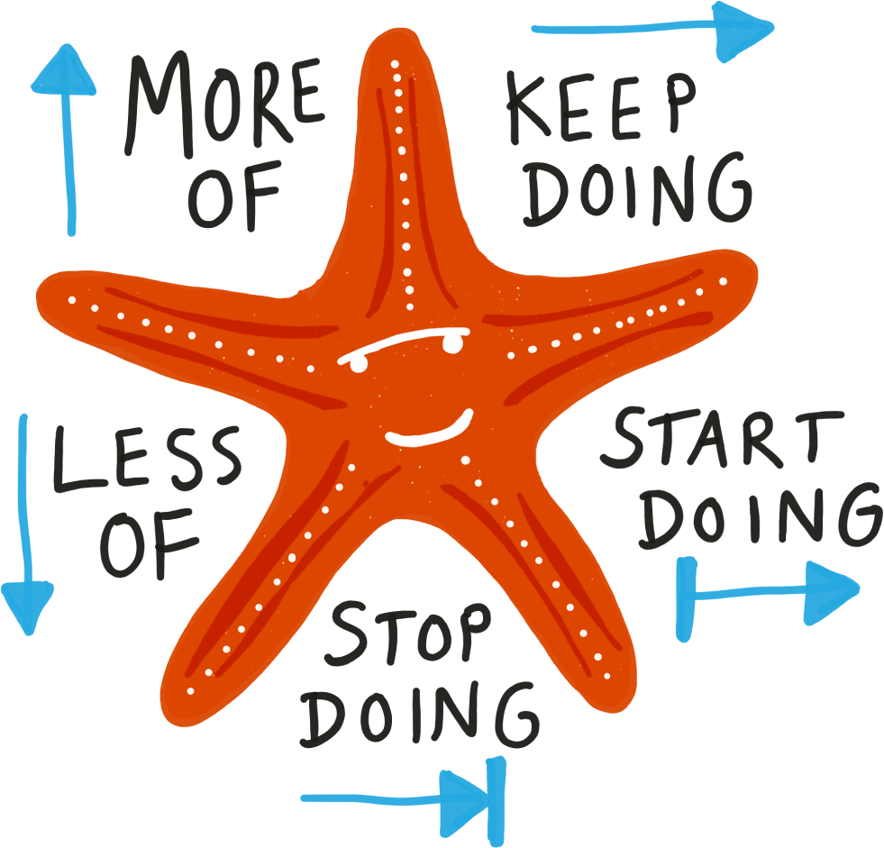 Starfish Model - Starfish (1201x1028), Png Download