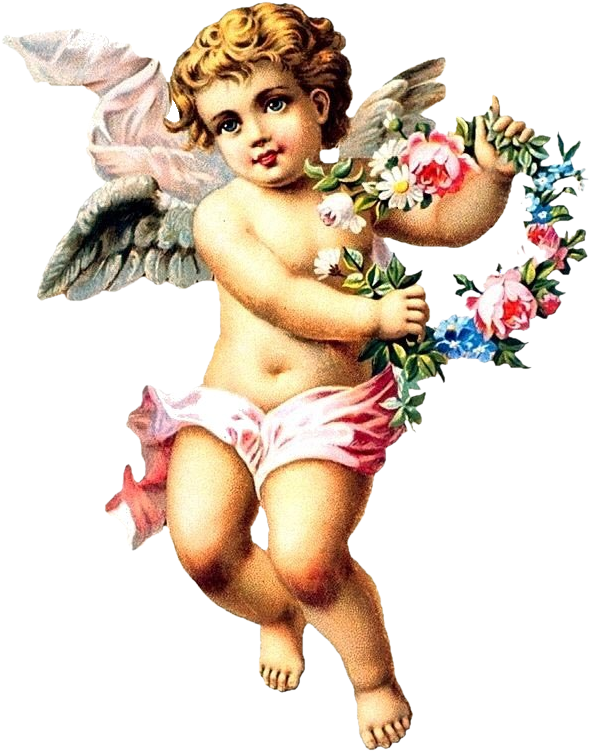 Cherub 7b Ldm - Angel Cherub (648x798), Png Download