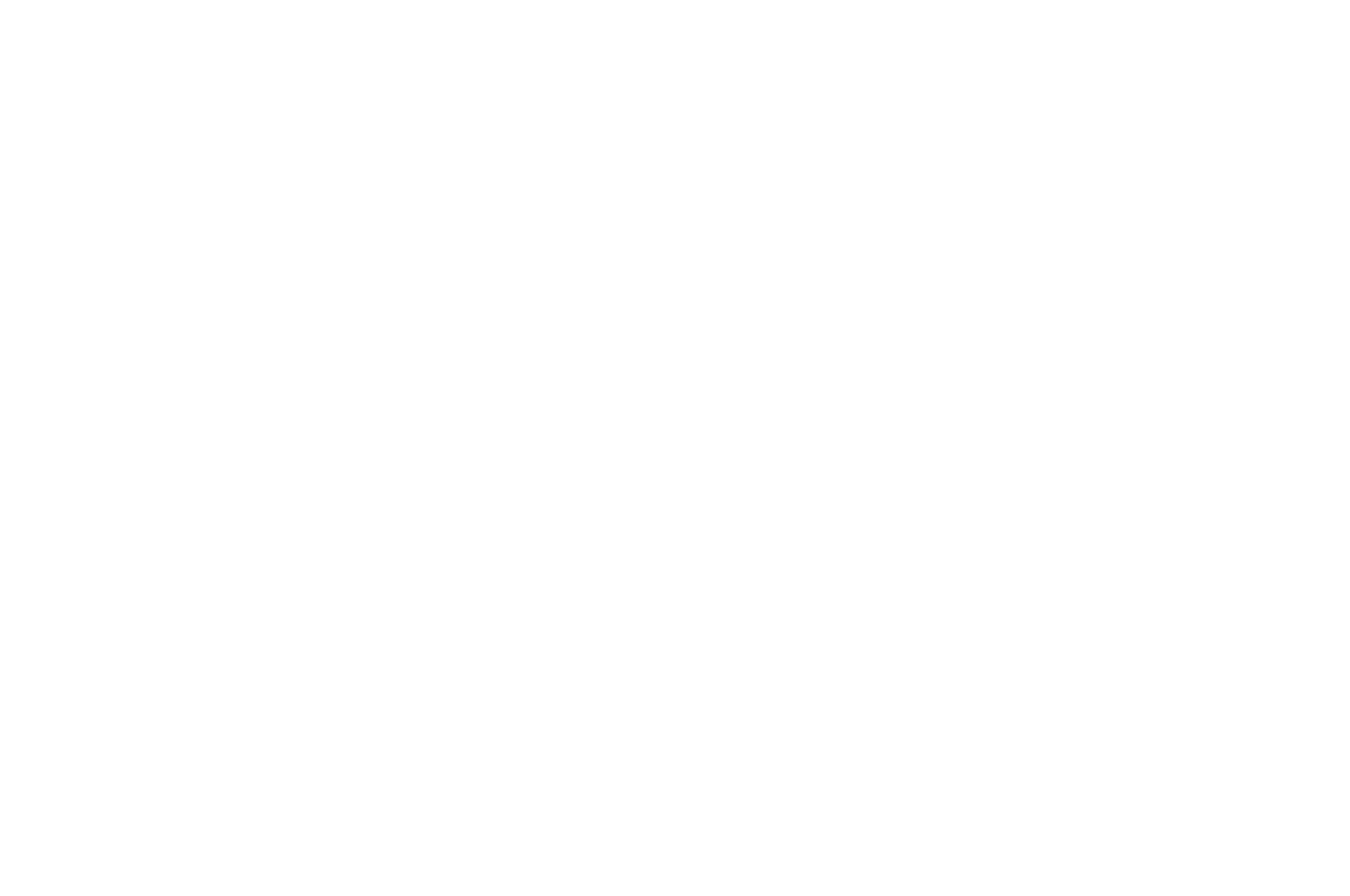Black Dirt Bandits White Over Transparent-03 - Poster (1800x1195), Png Download