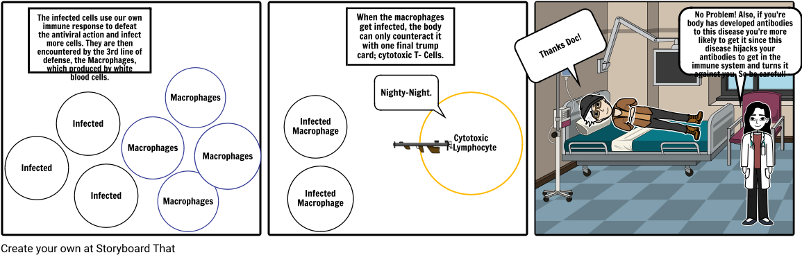 Ross River Disease Part - Diagram (1164x385), Png Download